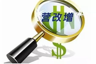 寧波保稅區眾創空間舉辦營改增后類金融企業稅收政策專場研討會，助力企業管理優化